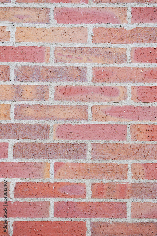 Fototapeta premium レンガの壁