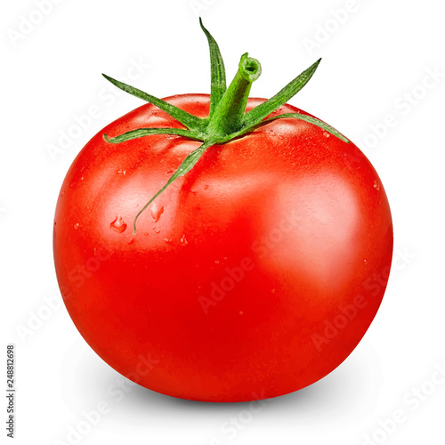 Tomato vector illustration