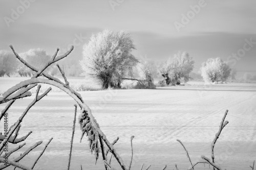 piękny zimowy krajobraz, pole