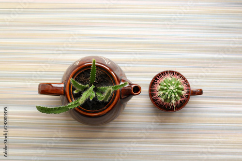 Floral composition with cactus in a ceramic teapot and mug, dark crockery, top view, tea party