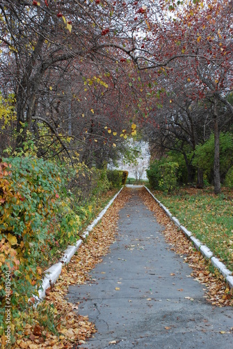 The pedestrian path in the park