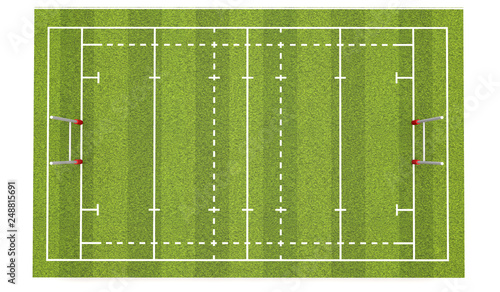 Rugby pitch with lines and goals. 3D Rendering