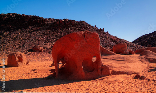 Abstract Rock formation at Tegharghart aka elephant in Tassili nAjjer national park, Algeria