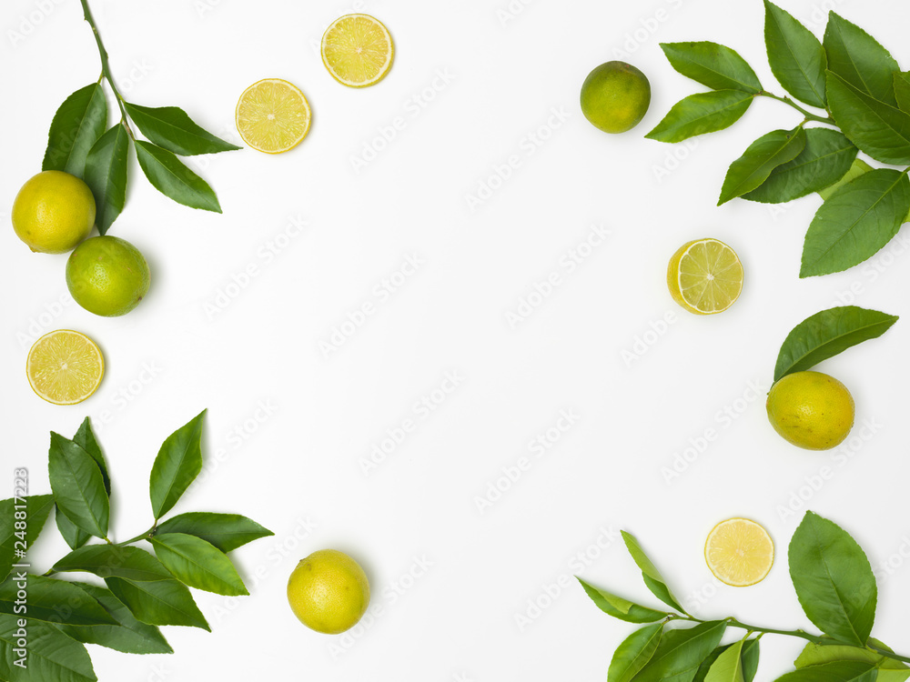 fresh, green limes with green twigs lie on a white background fresh, green limes with green twigs lie on a white background