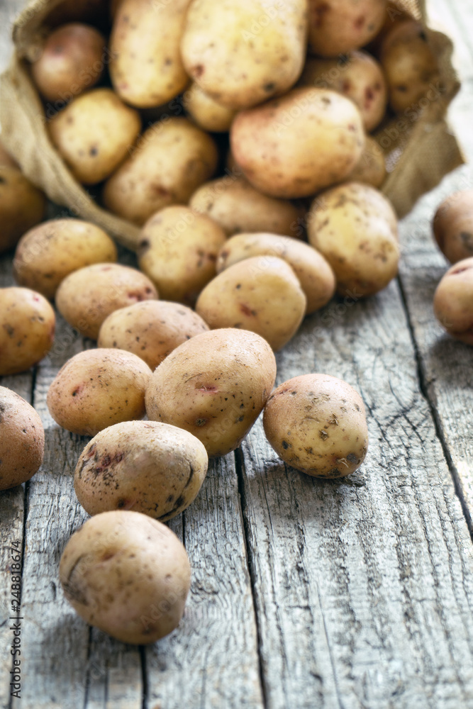 Potato tubers scattered on the rough wooden boards from a burlap sack on the background Potato tubers scattered on the rough wooden boards from a burlap sack on the background