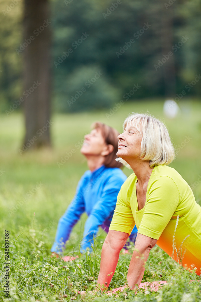 Zwei Senior Frauen machen Wellness Yoga