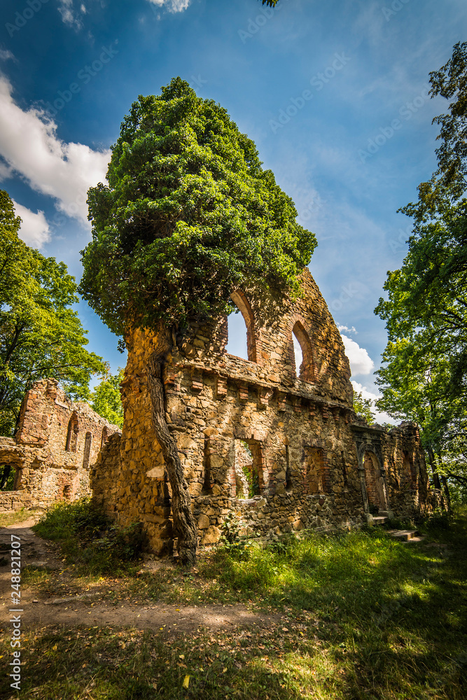 Ruins of old Ksiaz castle