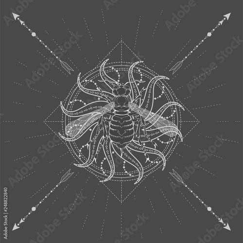 Vector illustration with hand drawn Wasp and Sacred symbol Sun on black background. Abstract mystic sign. White linear shape.