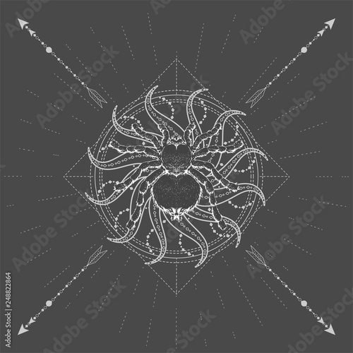 Vector illustration with hand drawn Spider Tarantula and symbol Sun on black background. Abstract mystic sign. White linear shape.