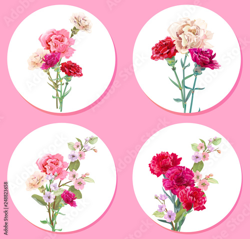 Set bouquets, round cards for Mother's Day. Carnation, spring blossom: red, pink, white flowers, leaves, white background, vintage botanical illustration, watercolor style, vector