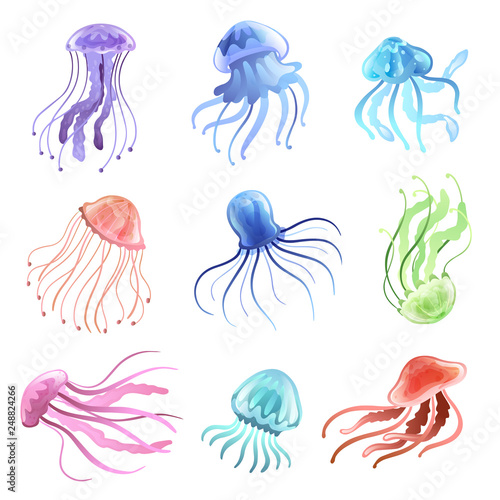 Jellyfish Set, Beautiful Colorful Swimming Marine Underwater Creatures Vector Illustration