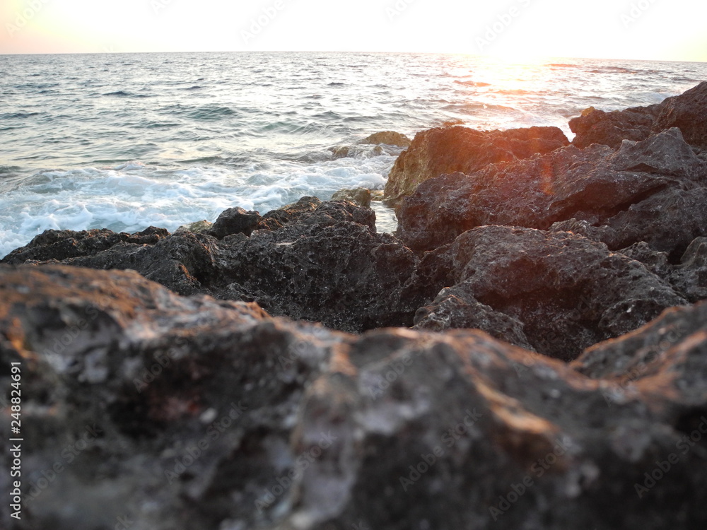 Fototapeta premium coffee, cafe, love, animals, nature, winter, macro, firewood, trees
