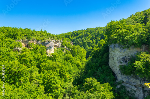 spring or summer forest landscape in the Caucasus mountains on a Sunny day