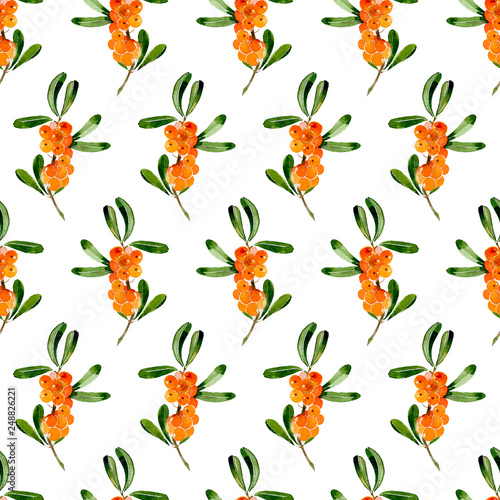 Seamless pattern od branch of sea-buckthorn on white background