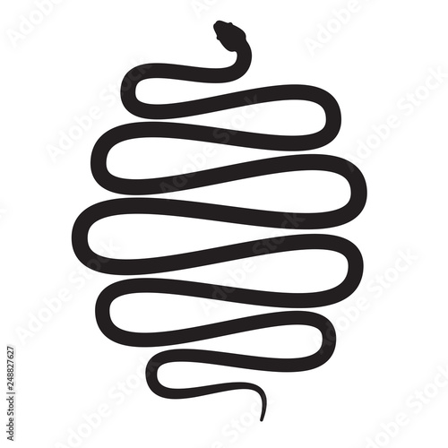 Snake vector icon. Long cobra python snake creeping silhouette