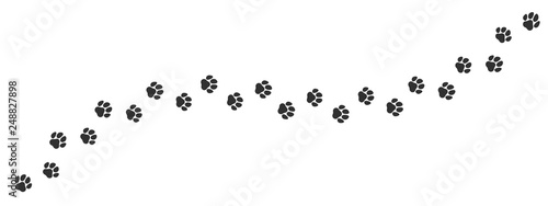 Paw print trail on white background. Vector cat or dog, pawprint walk line path pattern background