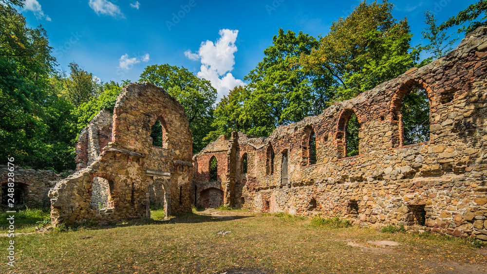 Ruins of old Ksiaz castle