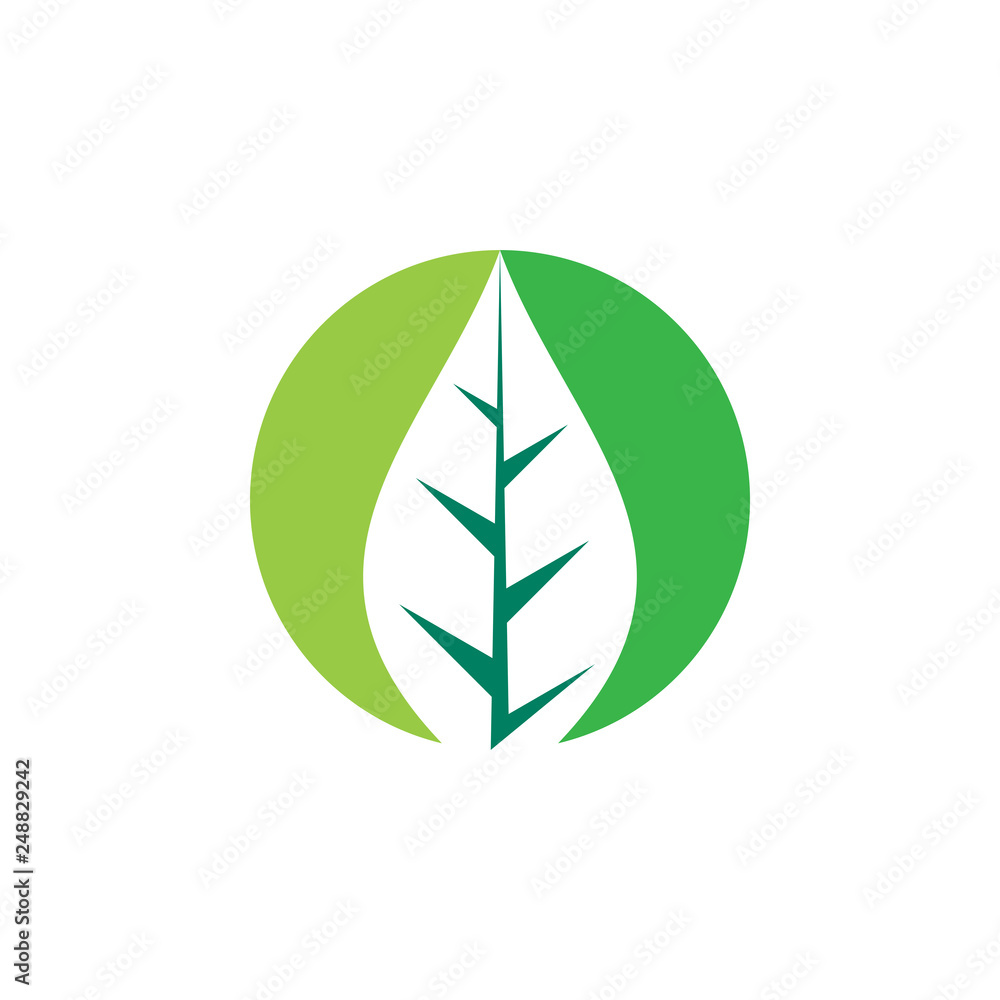 Green ecology vector logo Green ecology vector logo