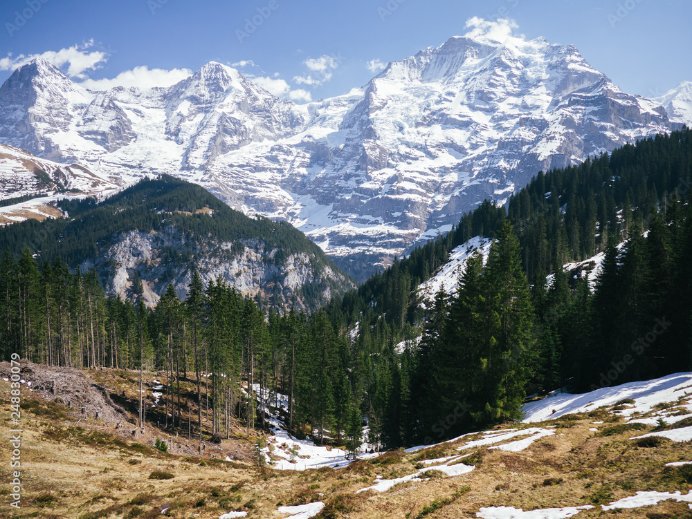Large view at the high mountains, Switzerland