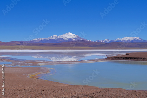Lagoon Laguna Brava and andean mountains near Paso Pircas Negras mountain pass, Argentina to Chile, La Rioja, South America