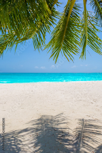 Fototapeta Naklejka Na Ścianę i Meble -  Palm tree on tropical paradise beach with turquoise blue water and blue sky