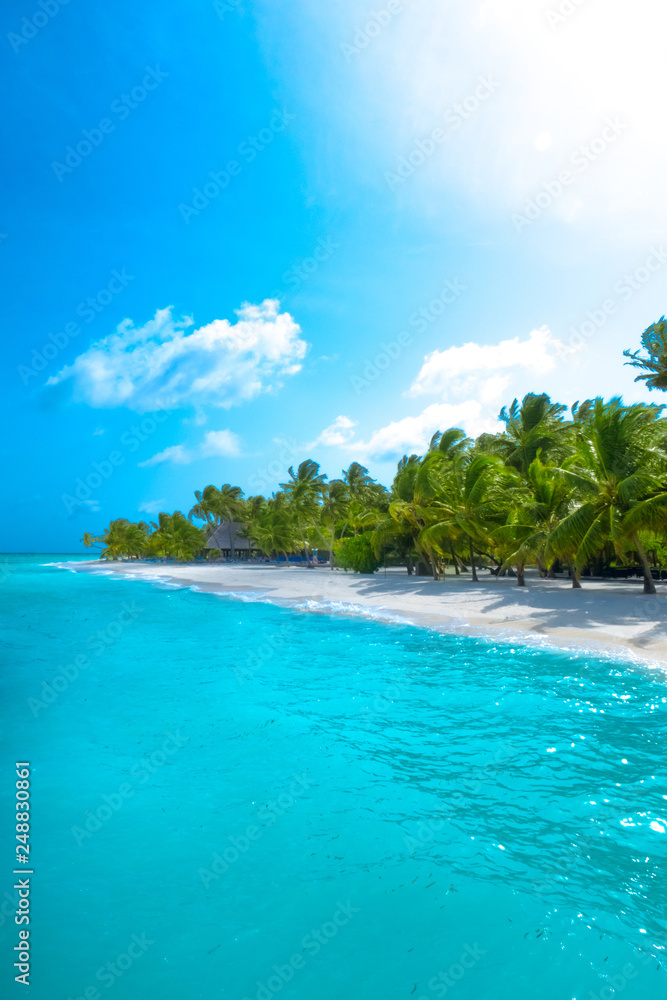 Palm tree on tropical paradise beach with turquoise blue water and blue sky Palm tree on tropical paradise beach with turquoise blue water and blue sky