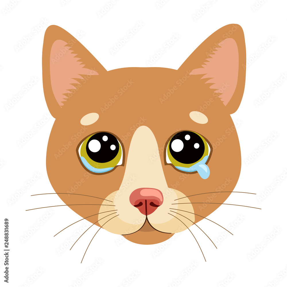Vetor do Stock: Sad Cat Face Head Vector Icon. Illustration Of Cute Sad  Animal. Drear Crying Cat Vector. Crying Cat Emoji. When You Depressed. What  Is Your Cat Saying When Making A