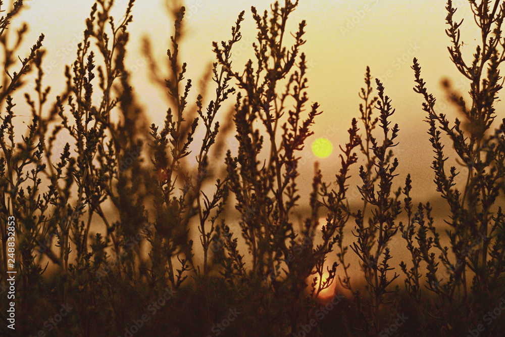 Obraz premium sunset in Berdyansk