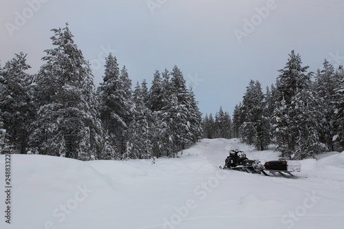 Snowmobile in the lapland fir trees forest, winter in finland. 