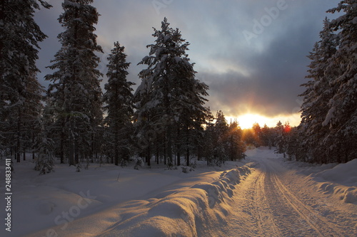 Snowmobile trail at sunset, Lapland in Finland