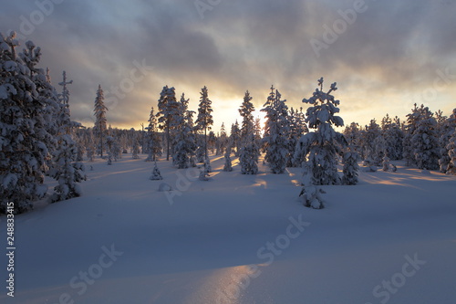 Magic Lapland landscape under the snow and rays of sun, finland