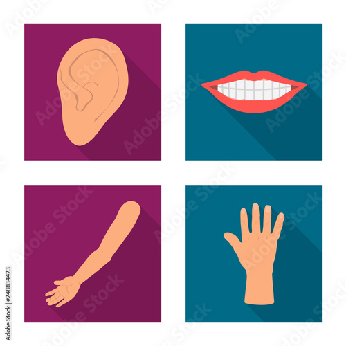 Vector illustration of body and part icon. Set of body and anatomy stock vector illustration.
