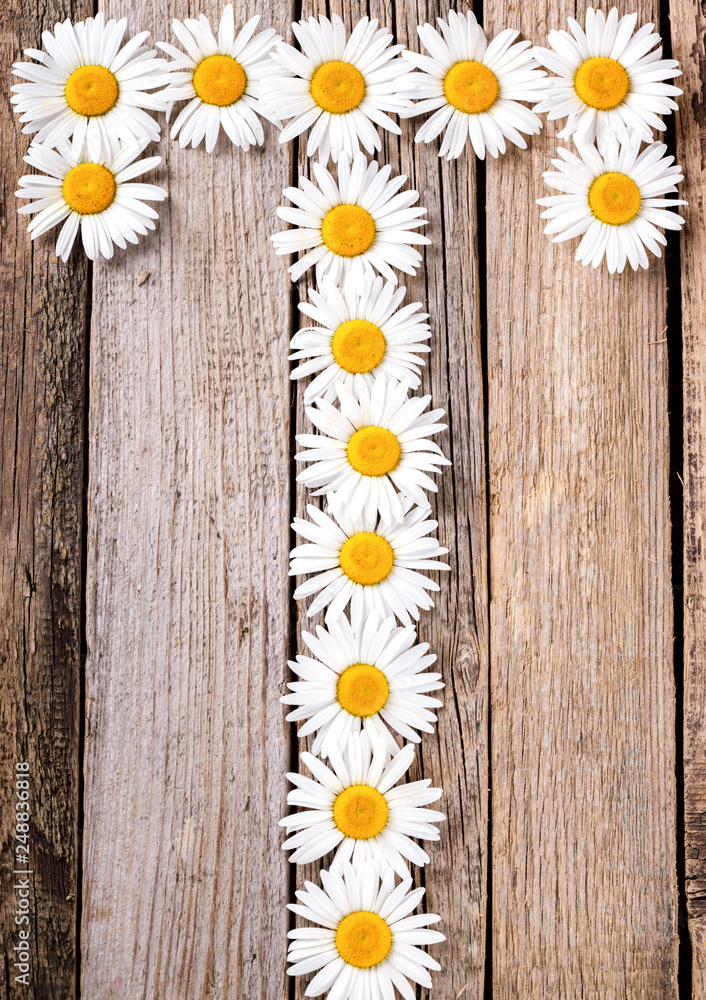 Obraz premium 8 March International Womens Day Background with spring flowers chamomile and inscription in russian letter 