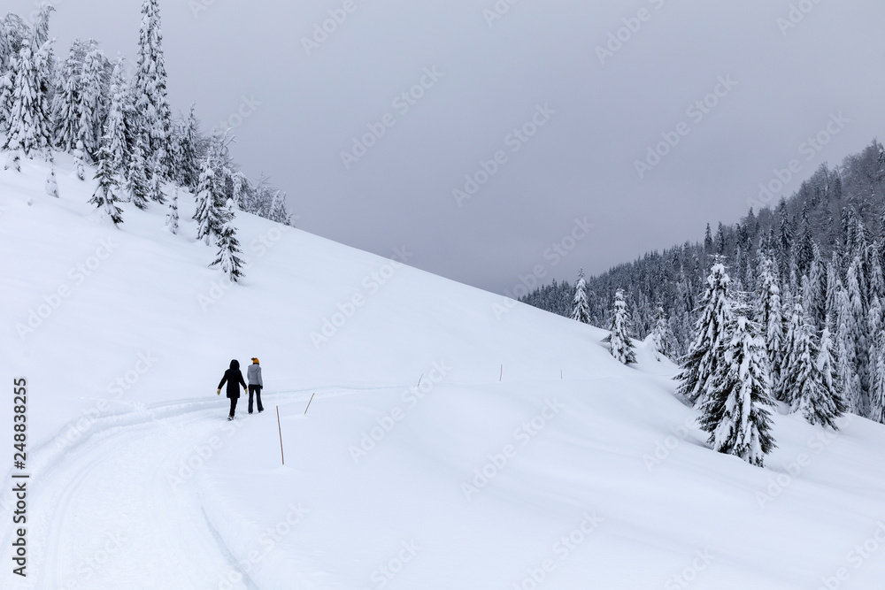 Fototapeta premium Tourists walking a snowy trail in the mountains