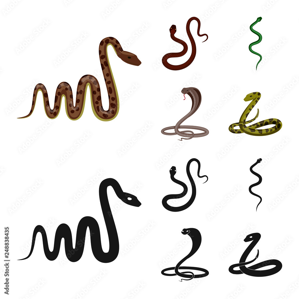Isolated object of mammal and danger logo. Collection of mammal and medicine vector icon for stock. Isolated object of mammal and danger logo. Collection of mammal and medicine vector icon for stock.
