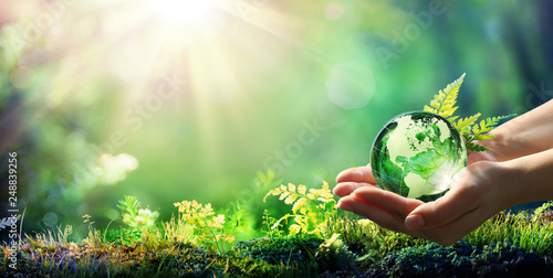 Fotobehang Hands Holding Globe Glass In Green Forest - Environment Concept
