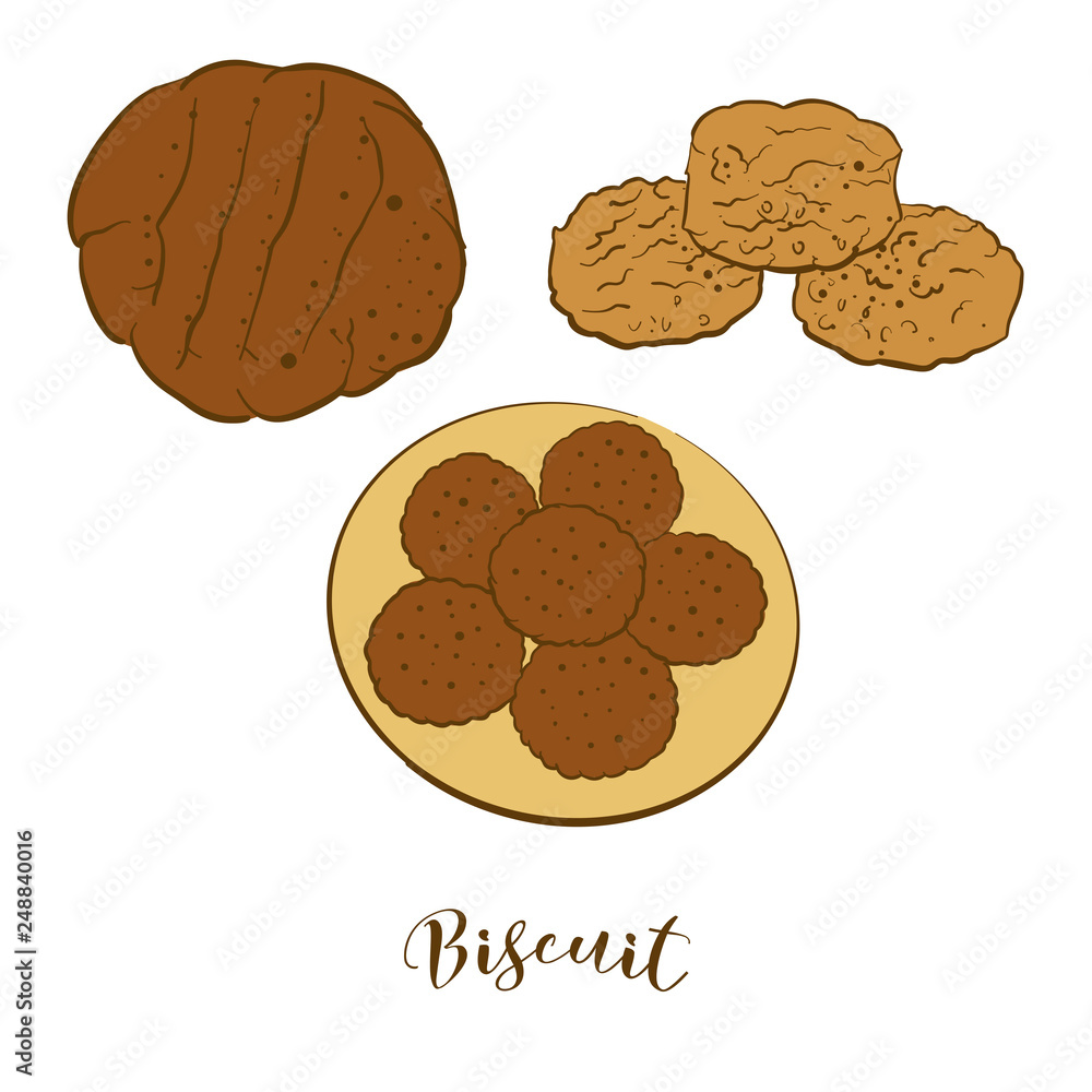 Colored sketches of Biscuit bread Colored sketches of Biscuit bread