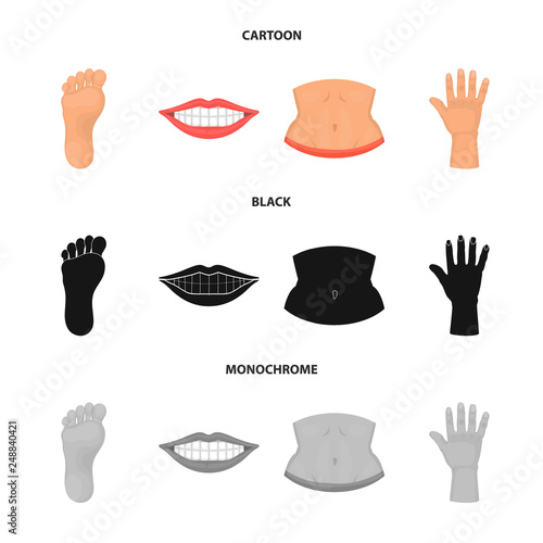 Isolated object of body and part sign. Set of body and anatomy stock symbol for web.