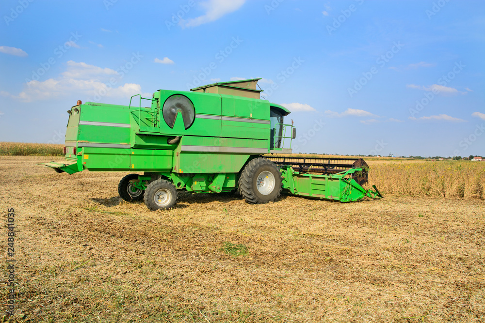 Fototapeta premium Harvester in the field