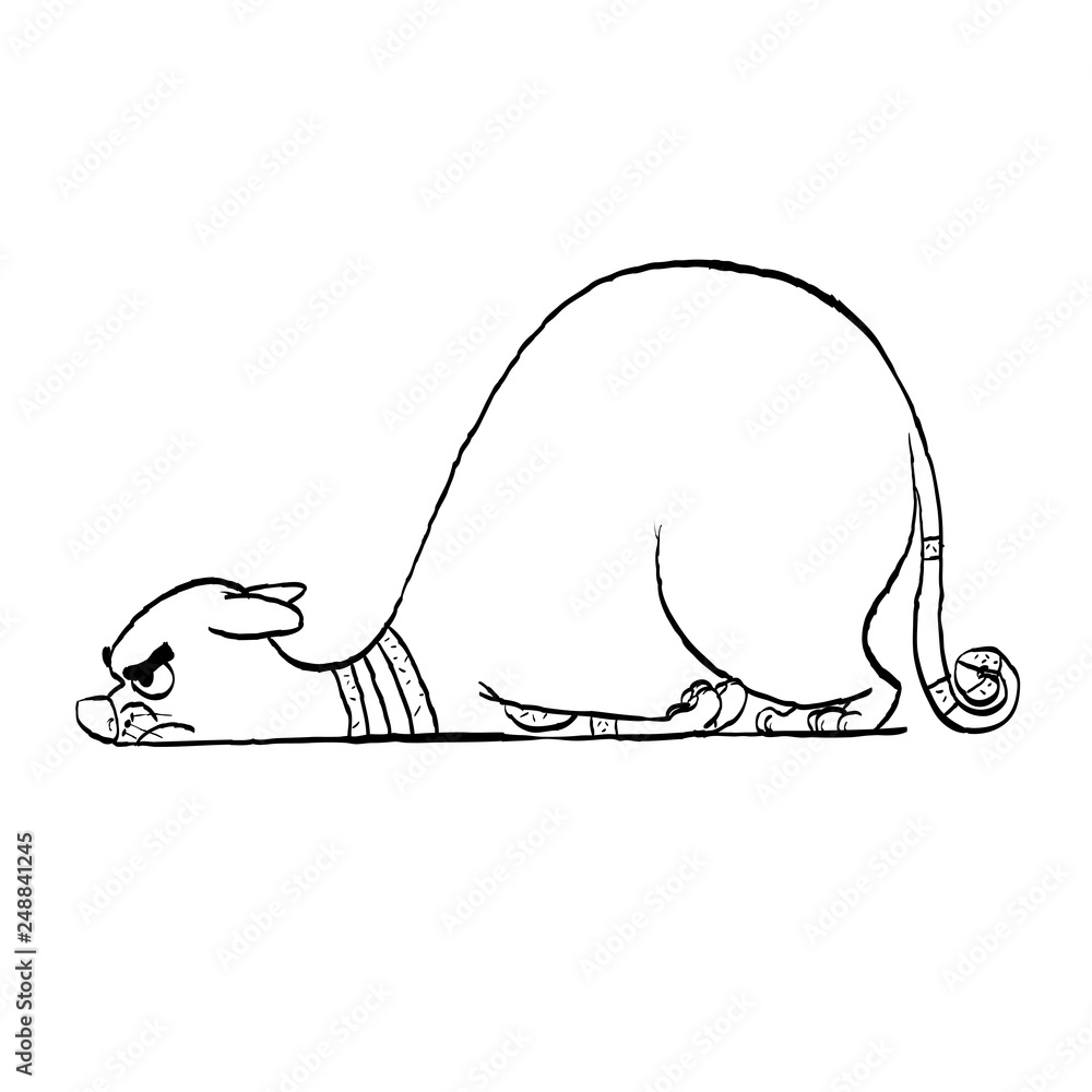 Obraz premium Tired cat. Lying fat cat vector illustration. Sad cat.