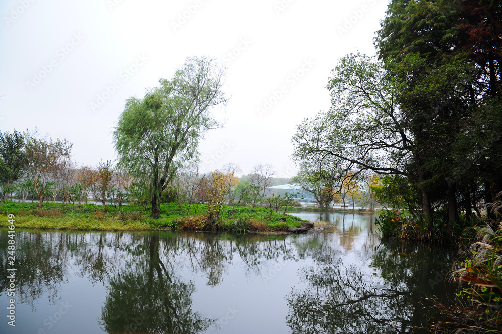 Obraz premium lake in the forest
