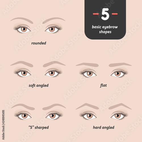 5 basic eyebrow shapes. Various types of eyebrows. Classic type and other. Vector illustration eyebrows with eyes