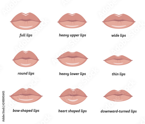 Canvas Print Various types of woman lips