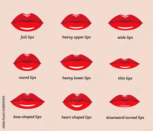 Canvas-taulu Various types of woman lips