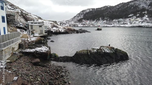 St. John's, Newfoundland canada, Winter harbour Footage. Wild Birds photo