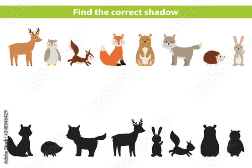 Cute cartoon forest animals. Find the correct shadow. Educational game for preschool children. Cartoon vector illustration.