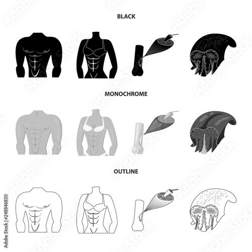 Vector design of fiber and muscular icon. Set of fiber and body  stock vector illustration.