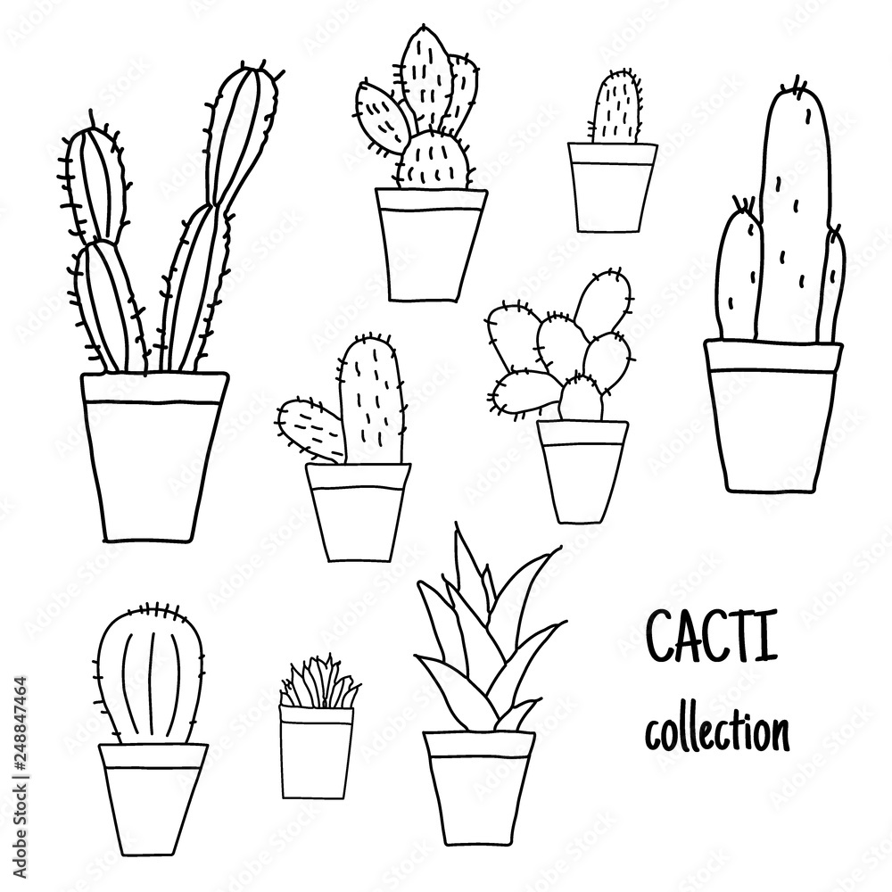 Set of hand drawn cactus plants in a cartoon style including agave, aloe vera and cacti in pots. Line art with transparent background, hand drawn Set of hand drawn cactus plants in a cartoon style including agave, aloe vera and cacti in pots. Line art with transparent background, hand drawn