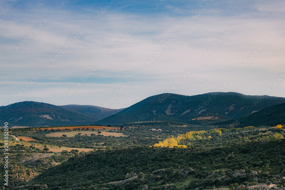 mountain landscape on summer