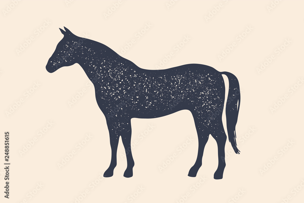 Horse, stallion. Concept design of farm animals